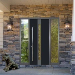 Противопожарная дверь для частного дома и коттеджа / серия FRM33211